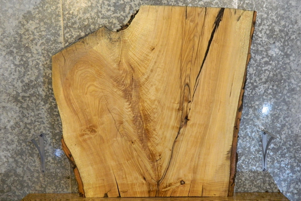 Live Edge Bark Ash Coffee Table Top Wood Slab 42132
