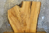 Thumbnail for Live Edge Bark Ash Coffee/Sofa Table Top Slab 42133