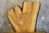 Thumbnail for Live Edge Bark Ash Coffee/Sofa Table Top Slab 42134