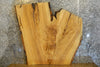 Thumbnail for Live Edge Bark Ash Coffee/Sofa Table Top Slab 42134