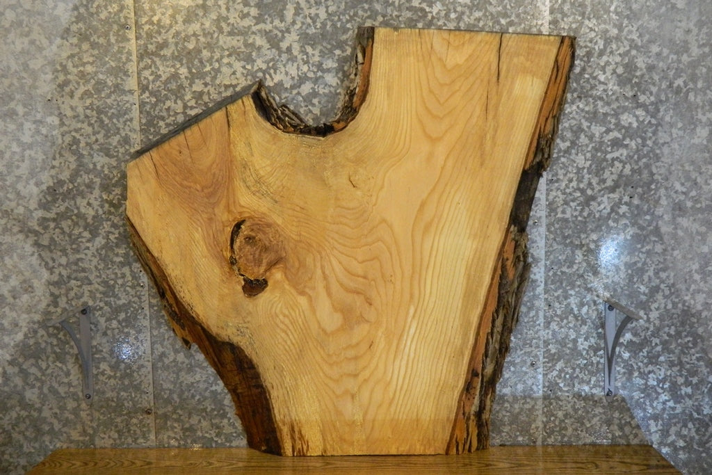 Natural Edge Bark Ash Coffee Table Top Wood Slab CLOSEOUT 42135