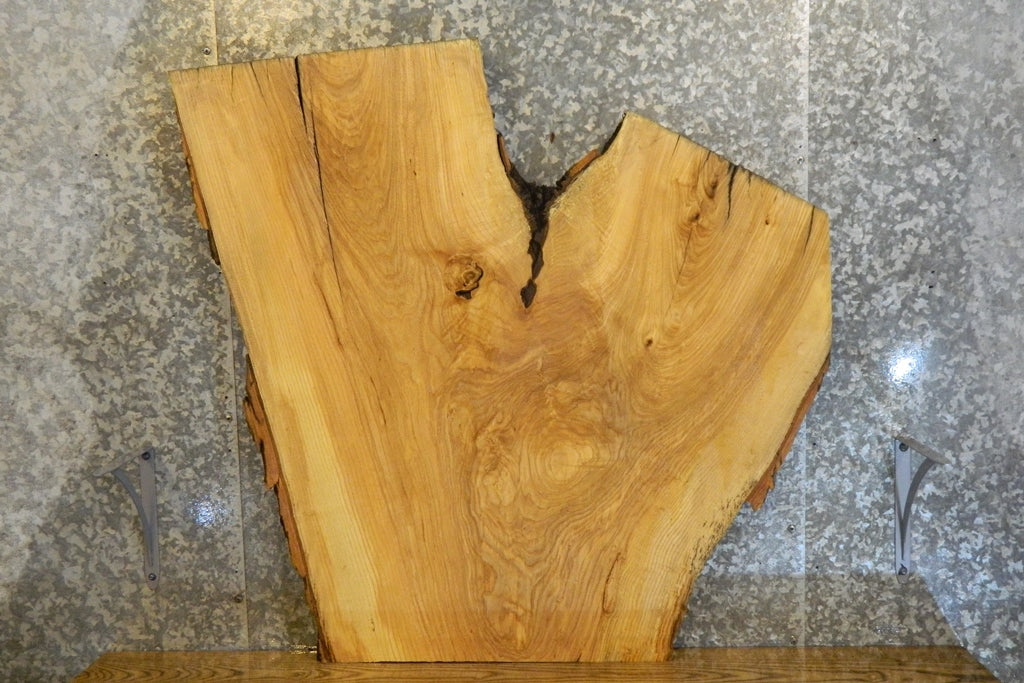 Natural Edge Bark Ash Coffee Table Top Wood Slab 42135