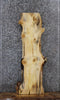 Thumbnail for Knotty Pine Live Edge Shelf/Charcuterie/Taxidermy Slab 42139