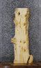 Thumbnail for Knotty Pine Live Edge Shelf/Charcuterie/Taxidermy Slab 42139