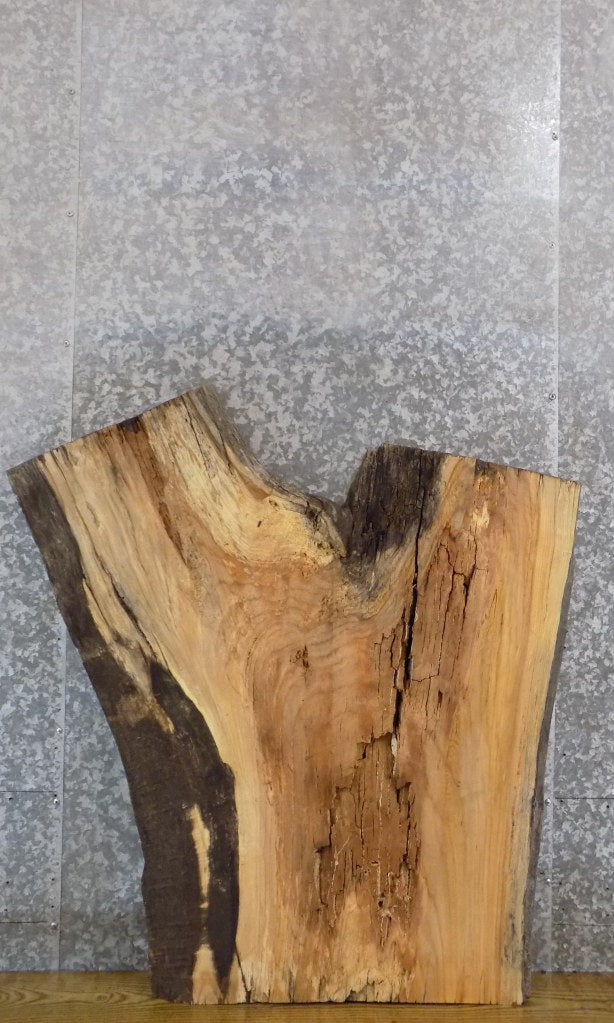 Thick Cut Live Edge Ash Epoxy Project/Table Top Slab CLOSEOUT 42145