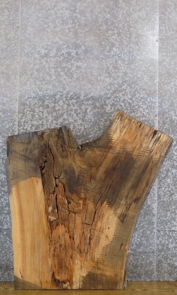 Thick Cut Live Edge Ash Epoxy Project/Table Top Slab CLOSEOUT 42145