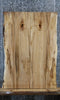 Thumbnail for 2- Hard Maple Live Edge Wood Slab Table Top Set 42146
