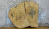 Thumbnail for White Oak Live Edge Round Cut Table Top Wood Slab CLOSEOUT 42147