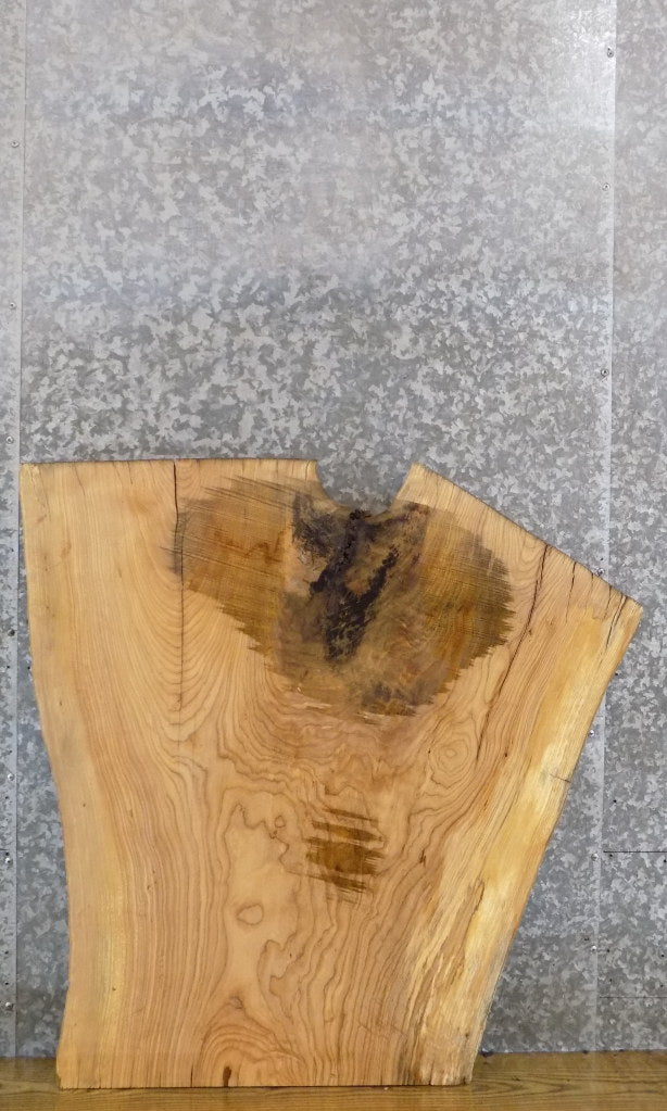 Live Edge Ash Coffee/Sofa Table Top Wood Slab CLOSEOUT 42148