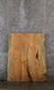 Thumbnail for Spalted Maple Wide Coffee Table Top, Live Edge Wood Slab 42149