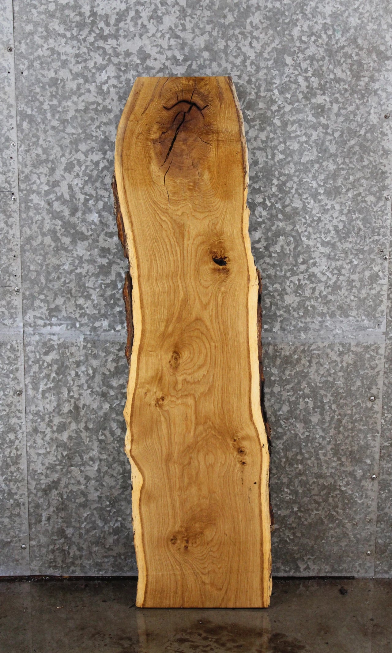 Oak Live Edge Shelf/Taxidermy Slab 42151