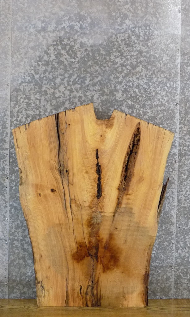 Live Edge Ash Computer Desk/Coffee Table Top Slab 42155
