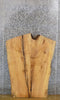 Thumbnail for Thick Cut Live Edge Ash Rustic Desk Top Wood Slab 42156
