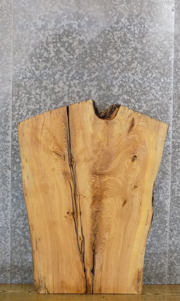 Thick Cut Live Edge Ash Rustic Desk Top Wood Slab CLOSEOUT 42156