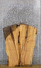 Thumbnail for Thick Cut Live Edge Ash Rustic Desk Top Wood Slab 42156