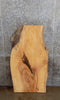 Thumbnail for Ash Live Edge Sofa/Coffee Table Top Wood Slab CLOSEOUT 42157