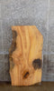 Thumbnail for Ash Live Edge Sofa/Coffee Table Top Wood Slab CLOSEOUT 42157