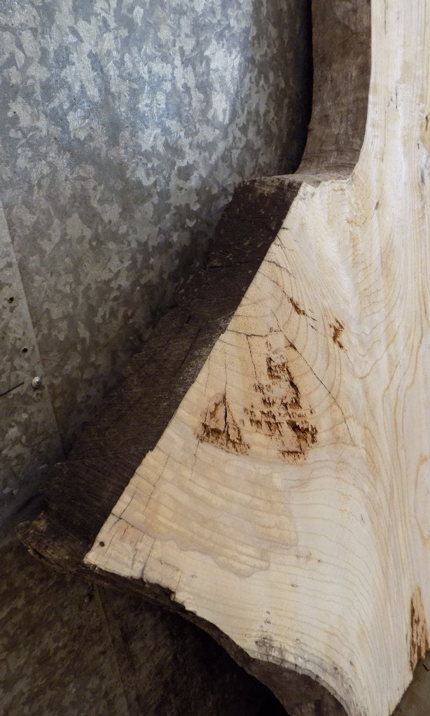 Live Edge Ash Kitchen/Sofa Table Top Wood Slab CLOSEOUT 42159