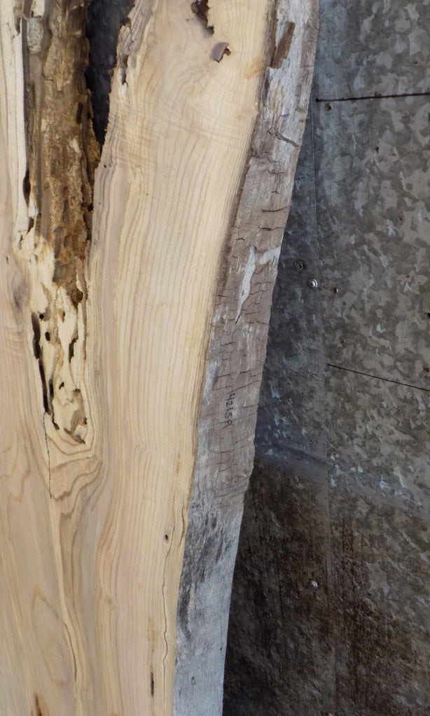 Live Edge Ash Kitchen/Sofa Table Top Wood Slab CLOSEOUT 42159