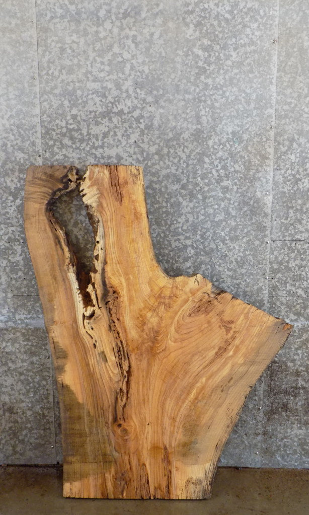 Live Edge Ash Kitchen/Sofa Table Top Wood Slab CLOSEOUT 42159