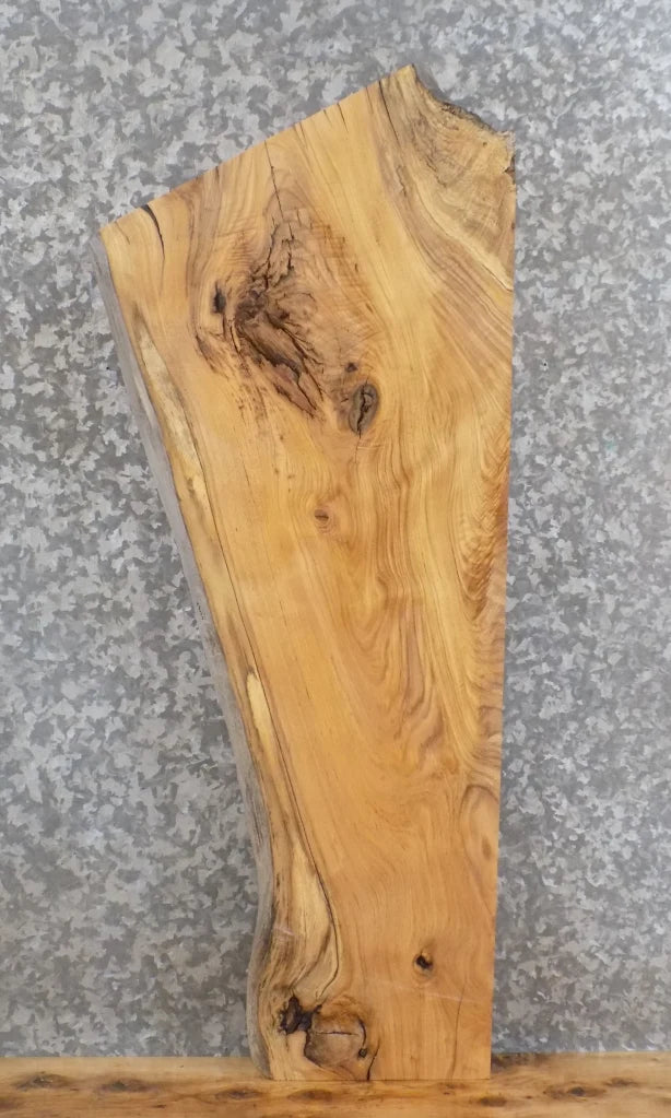 Live Edge Reclaimed Ash Mantel, Accent Table Top Slab 42165