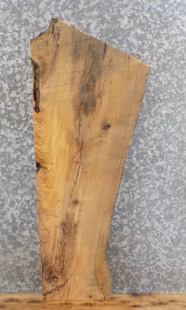 Live Edge Reclaimed Ash Mantel, Accent Table Top Slab 42165