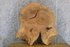 Thumbnail for Round Cut Live Edge Ash Coffee Table Top Wood Slab CLOSEOUT 42163