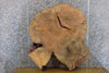 Thumbnail for Round Cut Live Edge Ash Coffee Table Top Wood Slab CLOSEOUT 42163