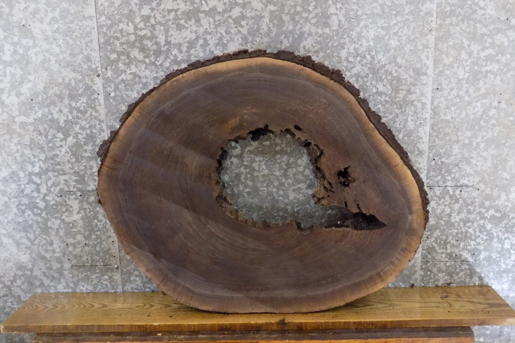 Rustic Round Cut Live Edge Black Walnut Coffee Table Top Slab 42164