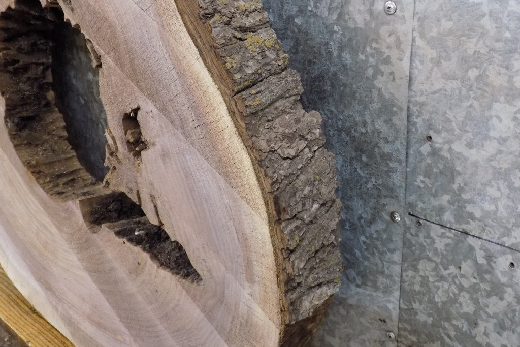 Rustic Round Cut Live Edge Black Walnut Coffee Table Top Slab 42164