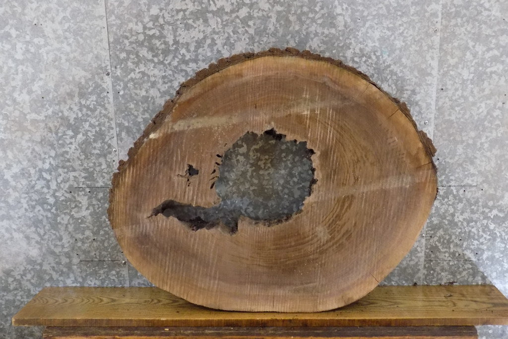 Rustic Round Cut Live Edge Black Walnut Coffee Table Top Slab 42164