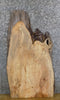 Thumbnail for Rustic Live Edge Spalted Maple Coffee Table/Desk Top Wood Slab 42167