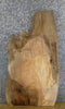 Thumbnail for Rustic Live Edge Spalted Maple Coffee Table/Desk Top Wood Slab 42167