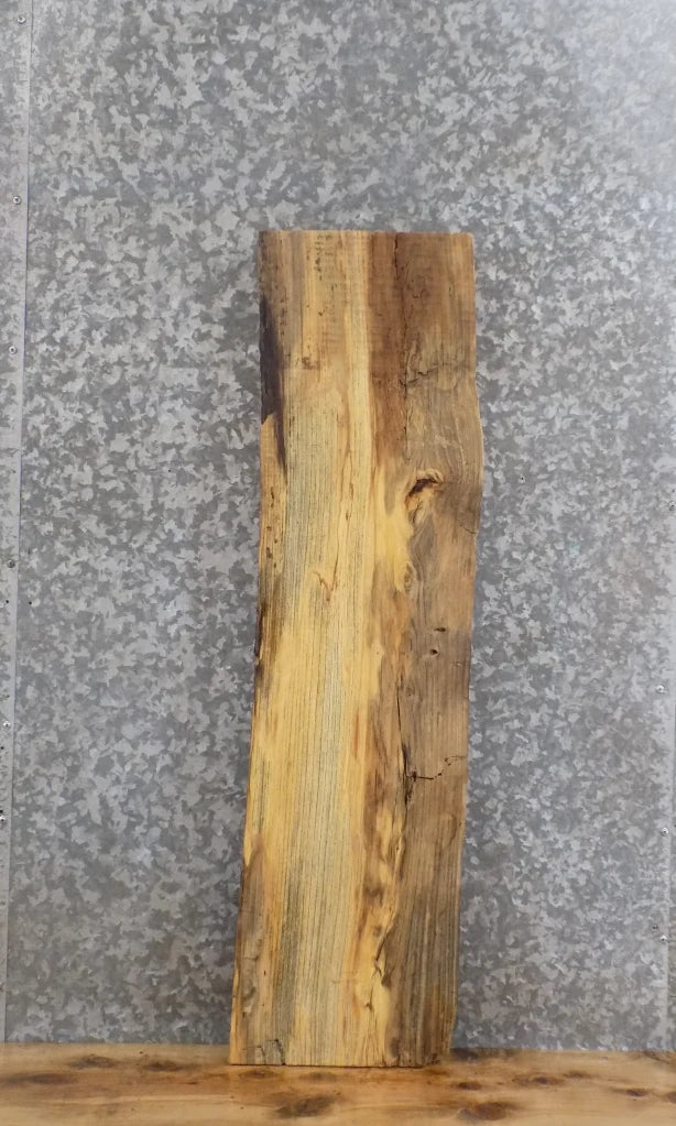 Live Edge Hackberry Bar Top/Wall Shelf/Mantel Slab CLOSEOUT 42178
