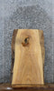 Thumbnail for Ash Live Edge Coffee Table/End Table Slab 42174