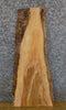 Thumbnail for Natural Edge Rustic Ash Coffee/Side Table Top Wood Slab 4217