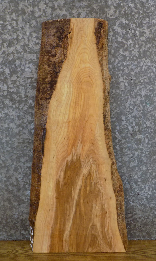Natural Edge Rustic Ash Coffee/Side Table Top Wood Slab 4217