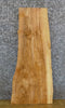 Thumbnail for Natural Edge Rustic Ash Coffee/Side Table Top Wood Slab 4217