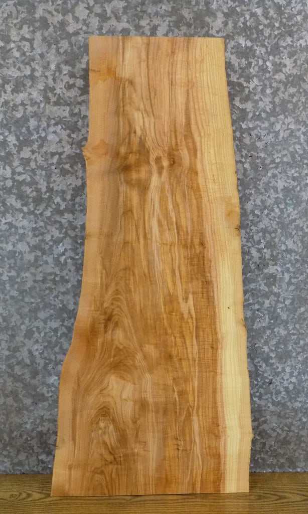 Natural Edge Rustic Ash Coffee/Side Table Top Wood Slab 4217