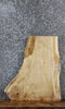 Thumbnail for Live Edge Hard Maple End/Sofa/Coffee Table 42180