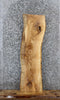 Thumbnail for Ash Live Edge Shelf/Bench Slab 42182