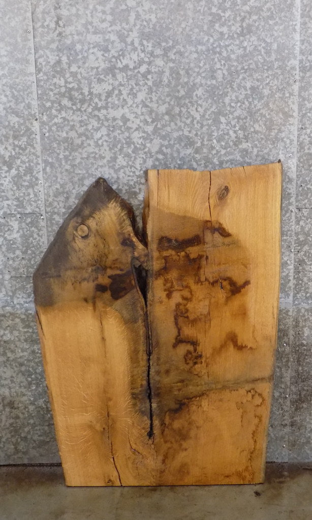 White Oak Live Edge Coffee Table/Desk Top Slab CLOSEOUT 42187