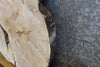 Thumbnail for Live Edge Round Cut Ash Coffee Table Top Wood Slab CLOSEOUT 42190