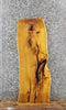 Thumbnail for Yellow Mulberry Live Edge Bench/End Table Slab 42191