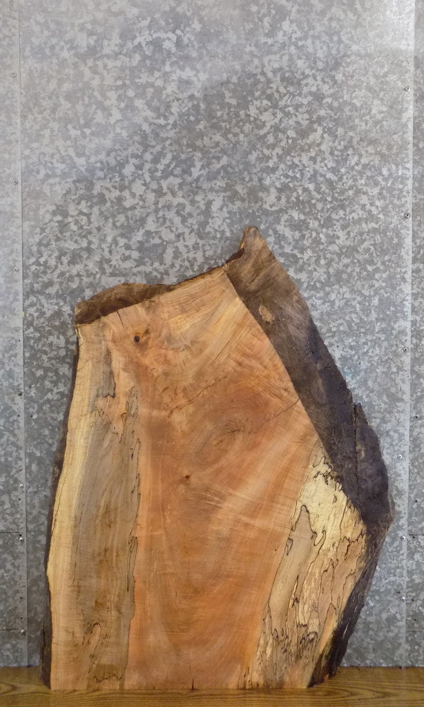 Reclaimed Live Edge Maple Side/Coffee Table Top Slab CLOSEOUT 42196