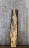 Thumbnail for Rustic Live Edge Maple Coffee Table Top 421