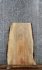 Thumbnail for Spalted Maple Live Edge Coffee/End Table Slab 42206