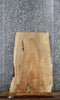 Thumbnail for Spalted Maple Live Edge Coffee/End Table Slab 42206
