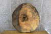 Thumbnail for Maple Round Cut Live Edge Rustic Coffee Table Top Slab 42210