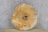 Thumbnail for Maple Round Cut Live Edge Rustic Coffee Table Top Slab 42210